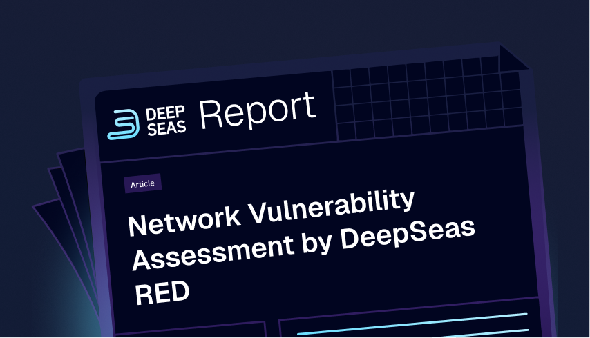 Network Vulnerability Assessment by DeepSeas RED