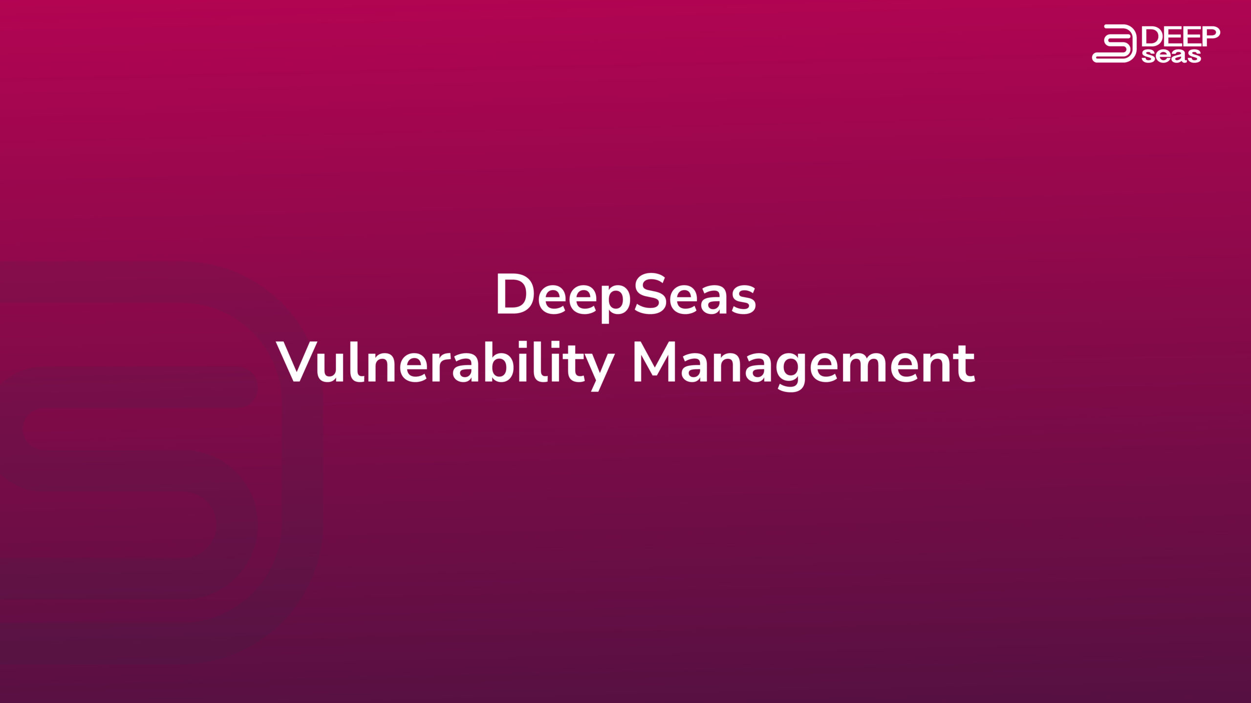 DeepSeas Vulnerability Management